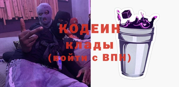 индика Белокуриха