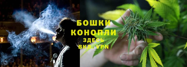 дживик Богородск