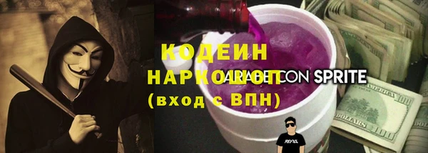 индика Белокуриха