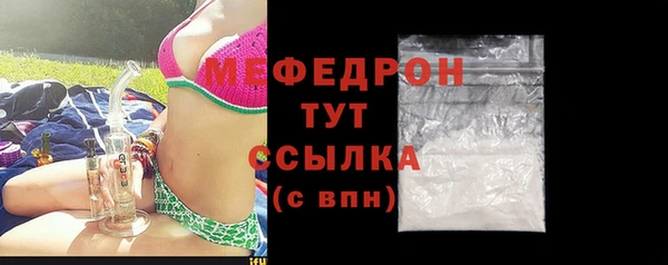 индика Белокуриха