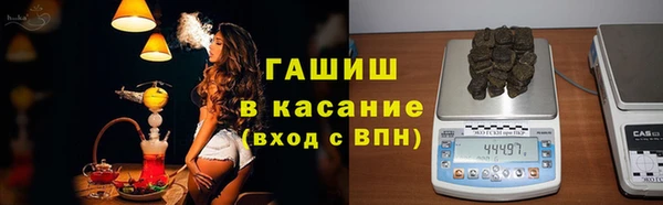 индика Белокуриха