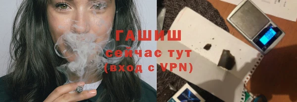 дмт Богданович