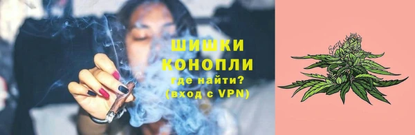 индика Белокуриха