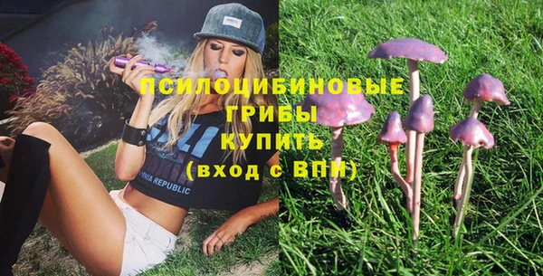 дмт Богданович