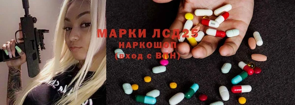 индика Белокуриха