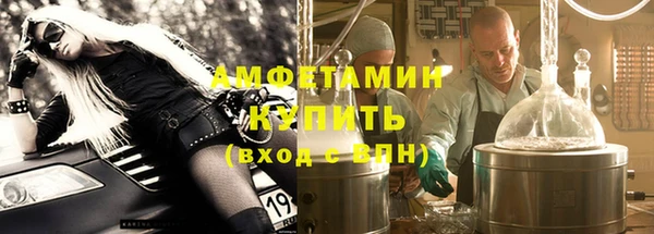 индика Белокуриха