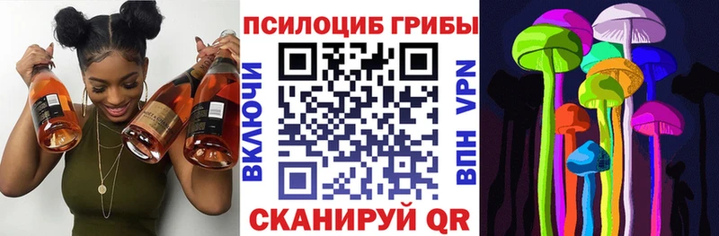 Галлюциногенные грибы Psilocybe Реутов