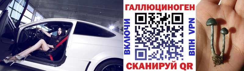 закладка  Реутов  Галлюциногенные грибы GOLDEN TEACHER 